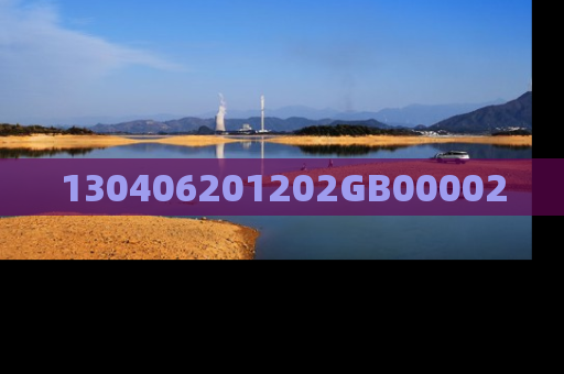 130406201202GB00002