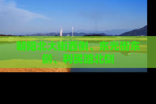 朝阳北大街西侧、东光街东侧、利民路北侧