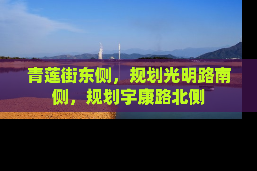 青莲街东侧，规划光明路南侧，规划宇康路北侧