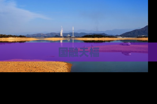 国融天福