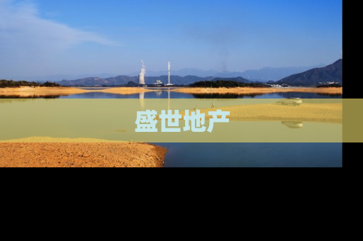 盛世地产
