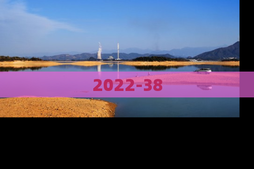2022-38