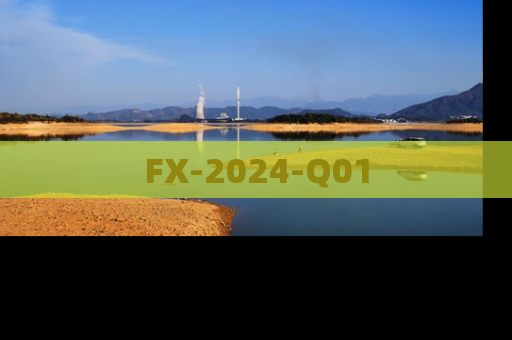 FX-2024-Q01
