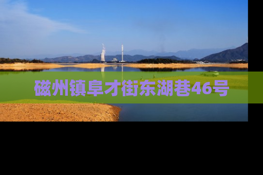 磁州镇阜才街东湖巷46号