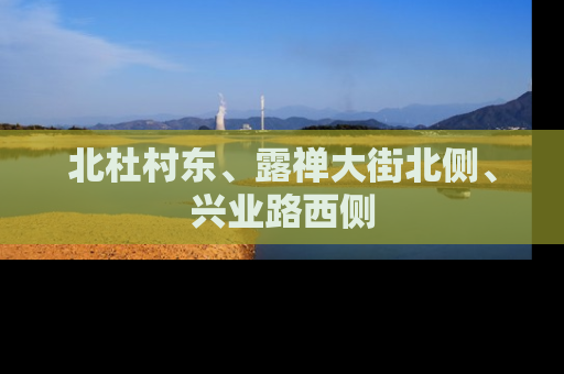 北杜村东、露禅大街北侧、兴业路西侧