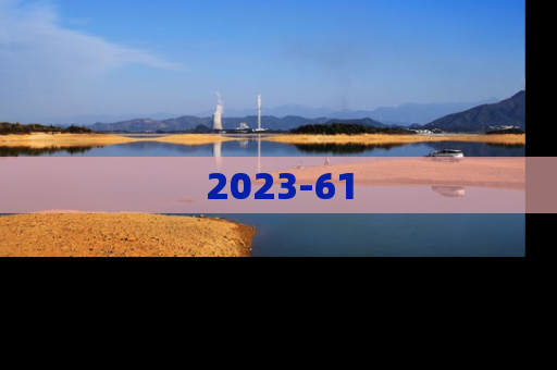 2023-61