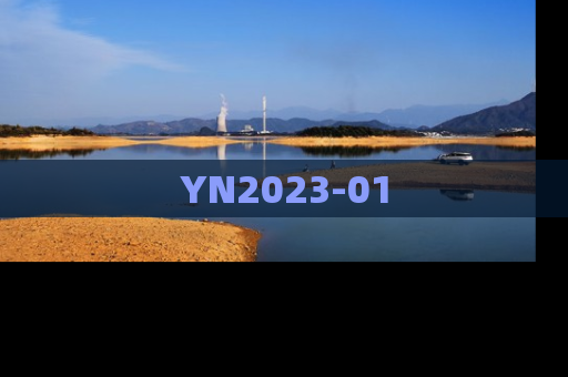 YN2023-01