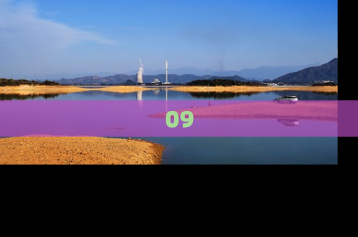 09