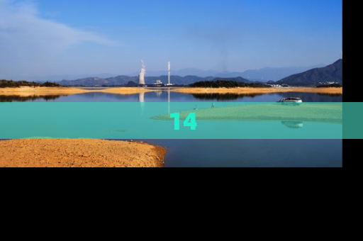 14