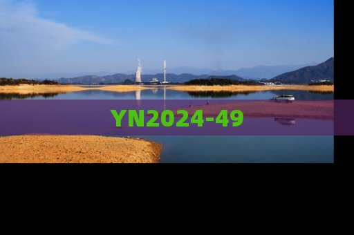 YN2024-49