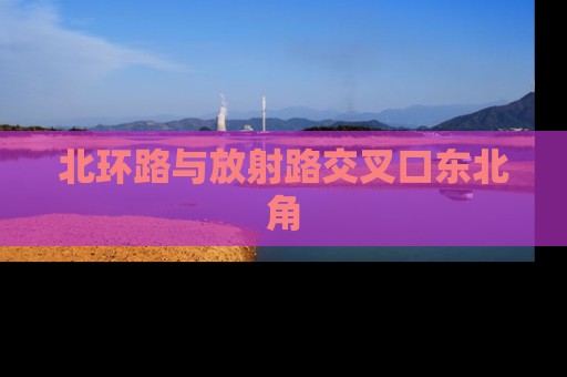 北环路与放射路交叉口东北角