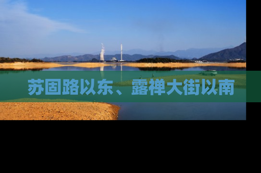 苏固路以东、露禅大街以南
