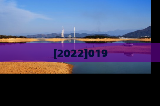 [2022]019