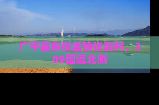 广平县东张孟镇张洞村，309国道北侧