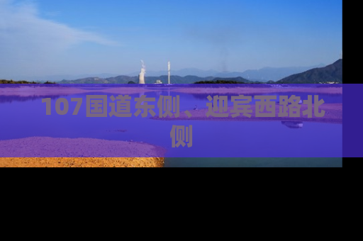 107国道东侧、迎宾西路北侧