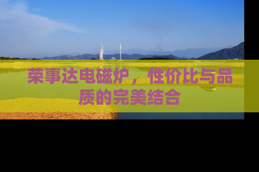 荣事达电磁炉，性价比与品质的完美结合