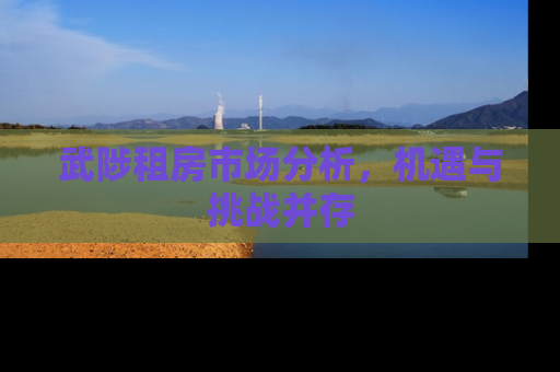 武陟租房市场分析，机遇与挑战并存