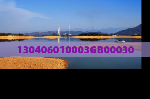 130406010003GB00030