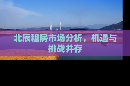 北辰租房市场分析，机遇与挑战并存