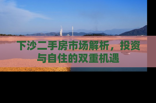 下沙二手房市场解析，投资与自住的双重机遇