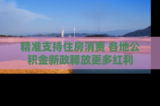 精准支持住房消费 各地公积金新政释放更多红利