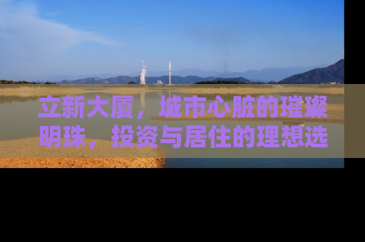 立新大厦，城市心脏的璀璨明珠，投资与居住的理想选择