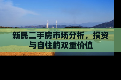 新民二手房市场分析，投资与自住的双重价值