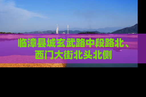 临漳县城玄武路中段路北、西门大街北头北侧