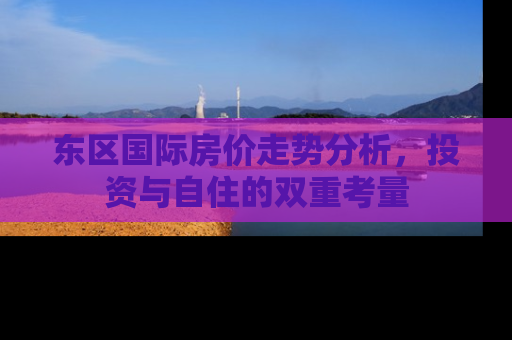 东区国际房价走势分析，投资与自住的双重考量