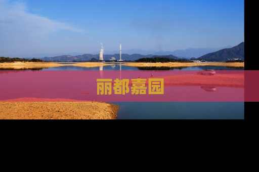丽都嘉园