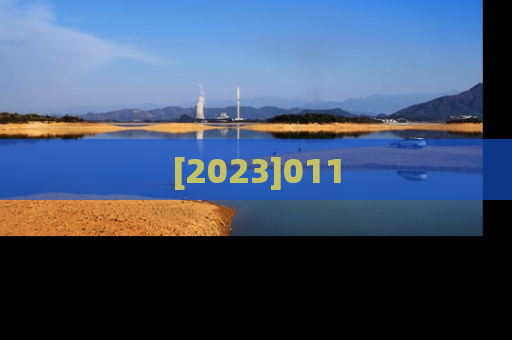 [2023]011