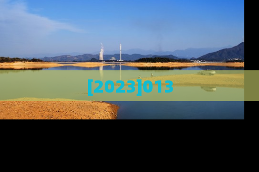 [2023]013