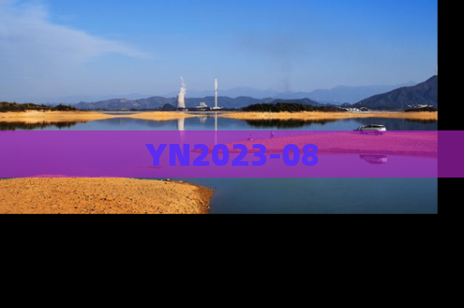 YN2023-08