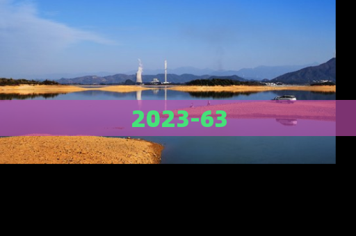 2023-63
