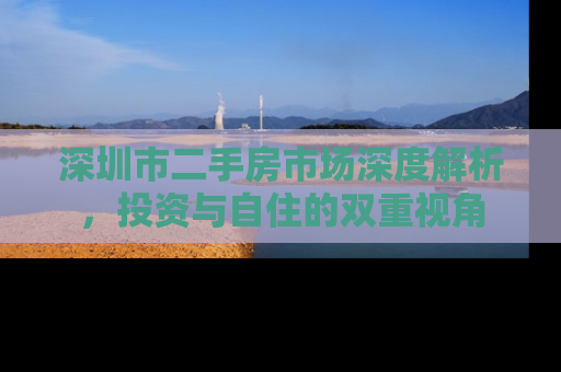 深圳市二手房市场深度解析，投资与自住的双重视角