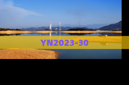 YN2023-30