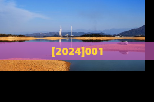 [2024]001