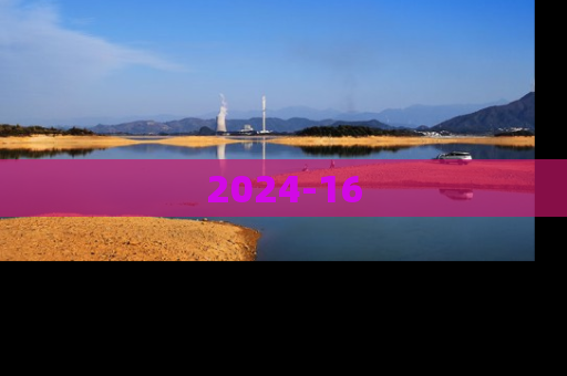 2024-16