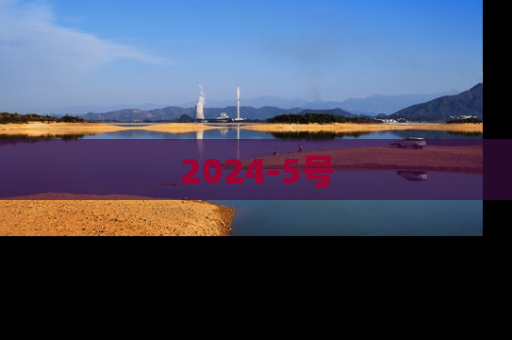 2024-5号