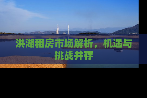洪湖租房市场解析，机遇与挑战并存