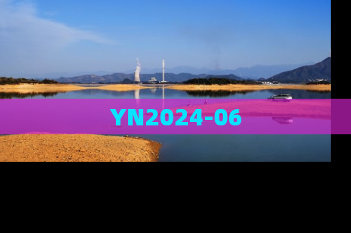 YN2024-06