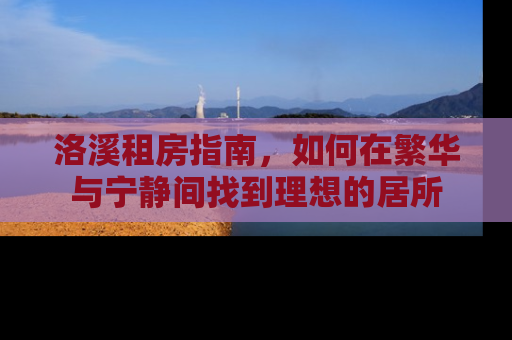 洛溪租房指南，如何在繁华与宁静间找到理想的居所