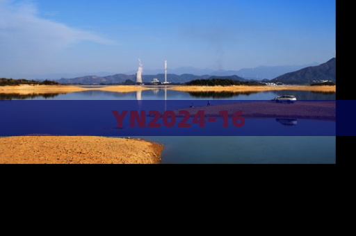 YN2024-16
