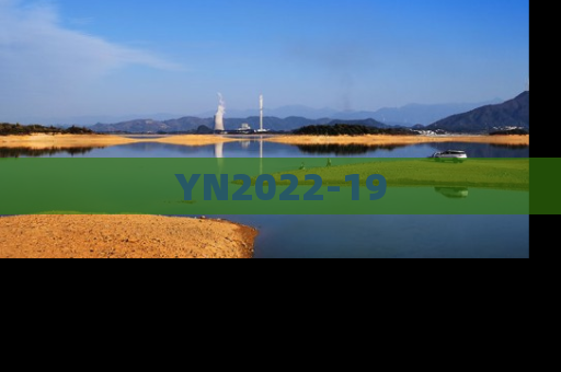 YN2022-19