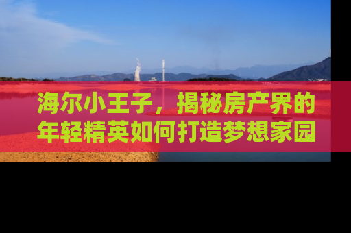 海尔小王子，揭秘房产界的年轻精英如何打造梦想家园