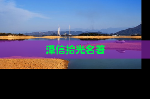 泽信拾光名著