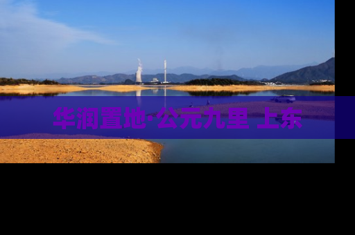 华润置地·公元九里 上东