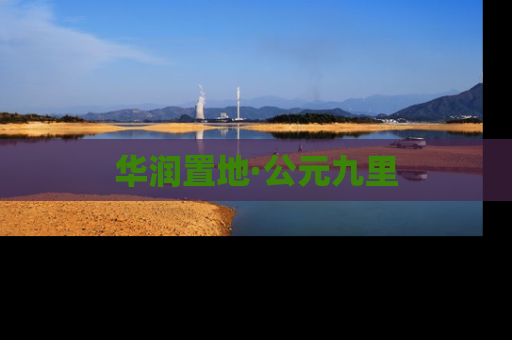华润置地·公元九里