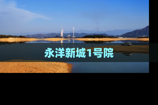 永洋新城1号院