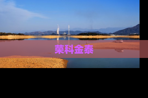 荣科金泰